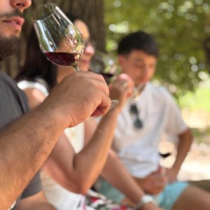 Córdoba Wine Tasting Experience