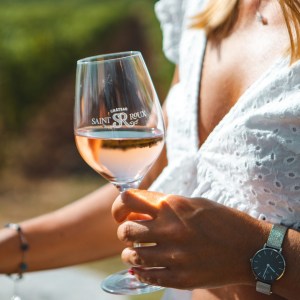 Provence Wine & Cheese Experience