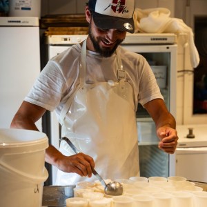 Alps Farm Guided Tour & Cheese Tasting Experience