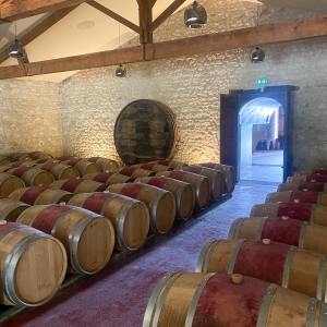 Bordeaux Wine Tasting & Platters Experience