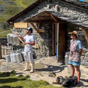 Alps Farm Guided Tour & Cheese Tasting Experience