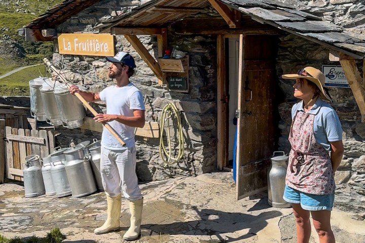 Alps Farm Guided Tour & Cheese Tasting Experience