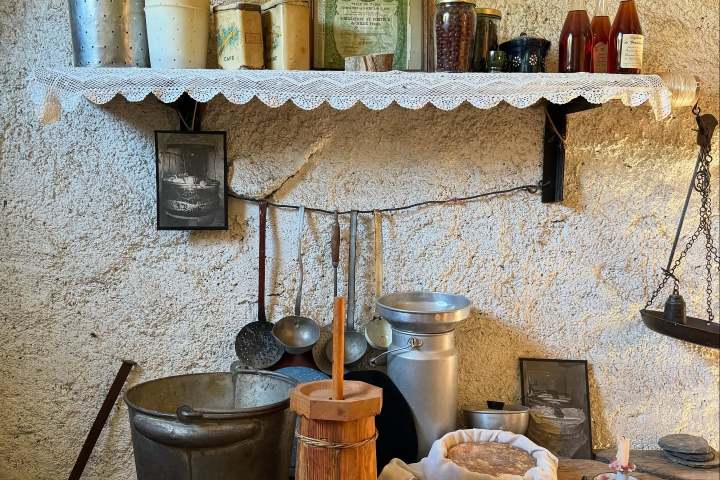 Alps Farm Guided Tour & Cheese Tasting Experience