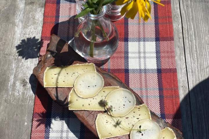 Alps Farm Guided Tour & Cheese Tasting Experience