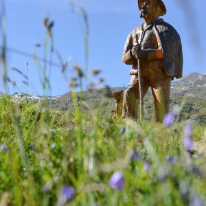 Alps Farm Guided Tour & Cheese Tasting Experience