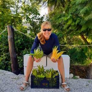 Murcia Citrus Tour Experience