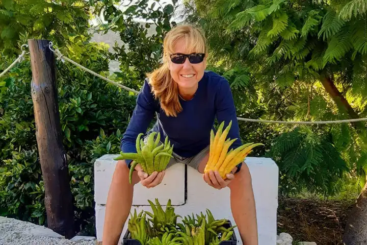 Murcia Citrus Tour Experience