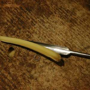 Jura Comté Cheese Maturing Cellar Tour Experience