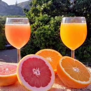 Murcia Citrus Tour Experience