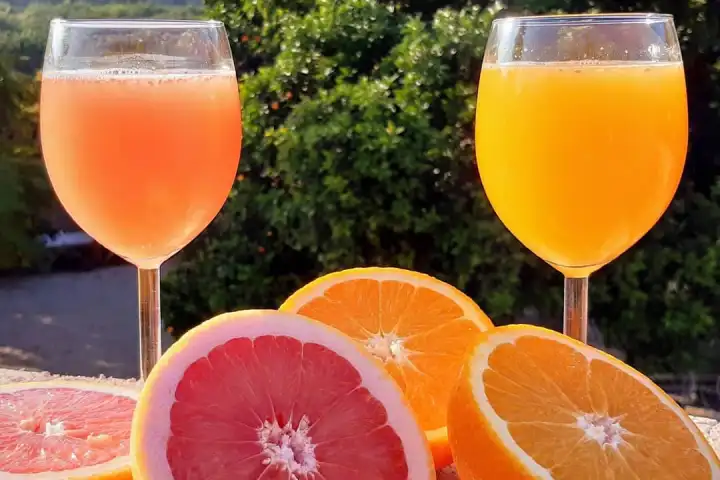 Murcia Citrus Tour Experience