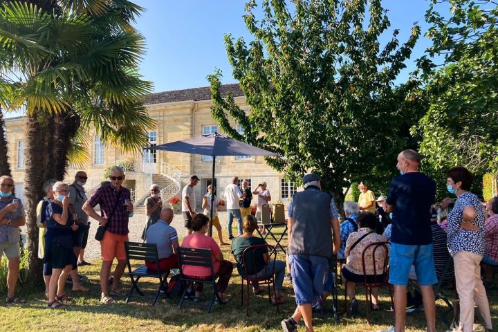 Bordeaux Wine Tasting & Platters Experience