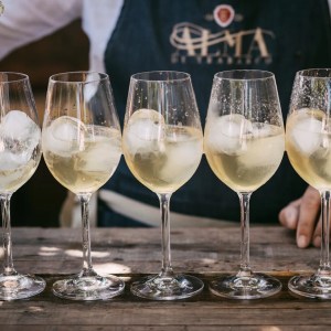 Asturias Cider Origins Experience
