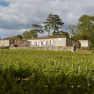 Bordeaux Domaine Tour & Wine Tasting Experience