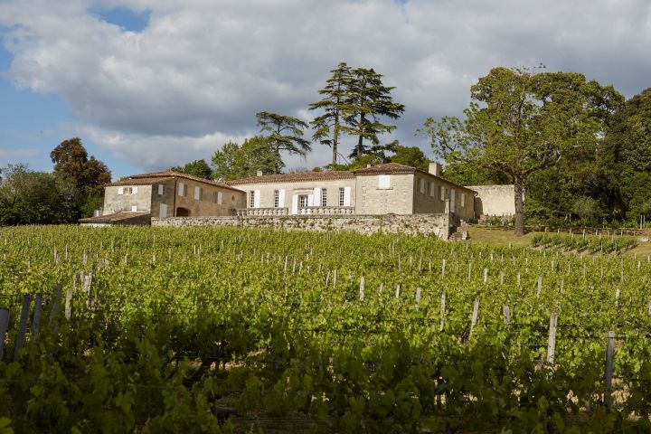 Bordeaux Domaine Tour & Wine Tasting Experience