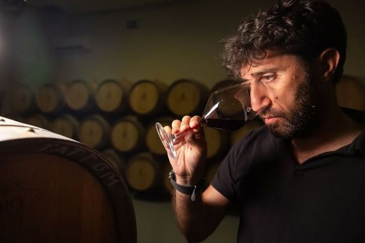 Jerez Wine Visit Experience