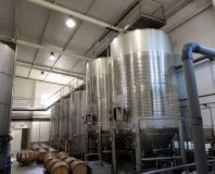 Jerez Wine Visit Experience