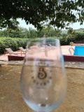 Córdoba Wine Tasting Experience