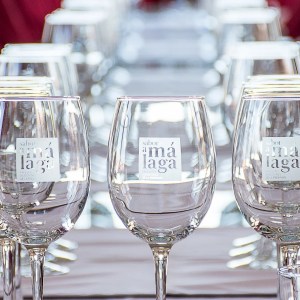 Ronda Wine Tour & Tasting Experience