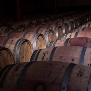 Ronda Wine Tour & Tasting Experience