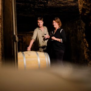 Bordeaux Domaine Tour & Wine Tasting Experience