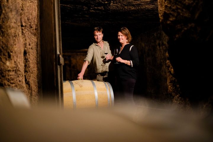 Bordeaux Domaine Tour & Wine Tasting Experience