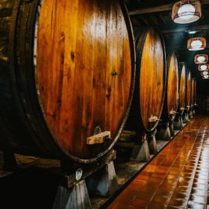 Asturias Cider Origins Experience