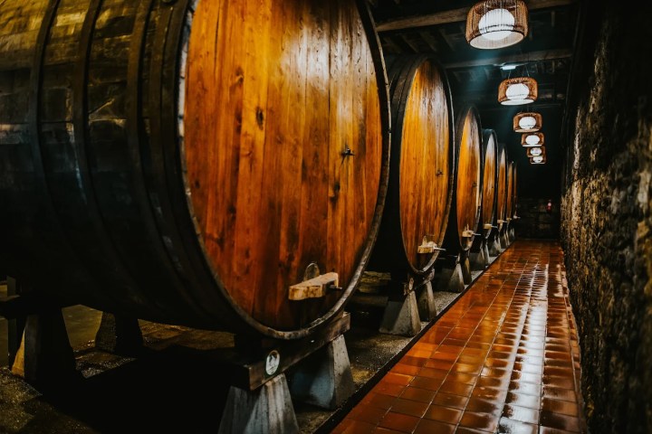Asturias Cider Origins Experience