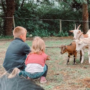 Brittany Guided Farm Tour Experience