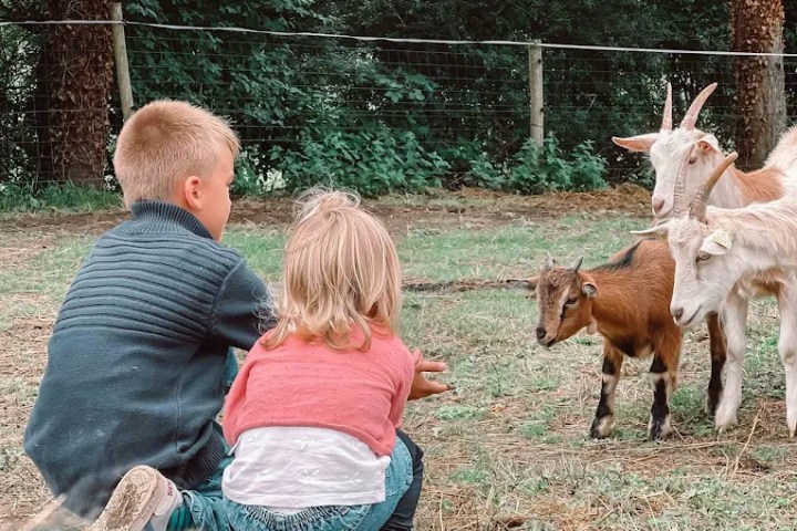Brittany Guided Farm Tour Experience
