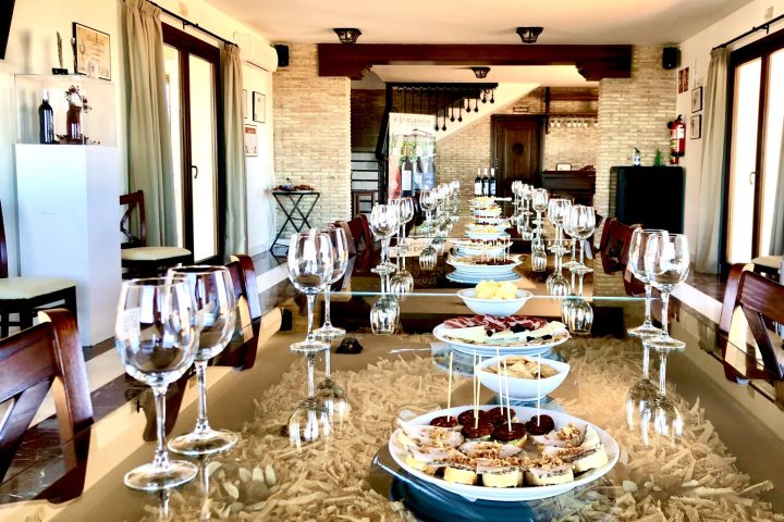 Ronda Wine Tour & Tasting Experience
