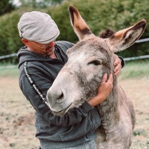 Brittany Guided Farm Tour Experience