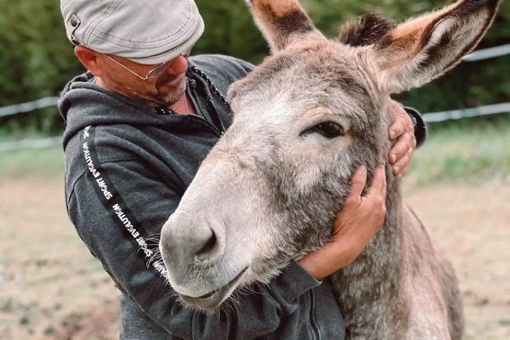 Brittany Guided Farm Tour Experience