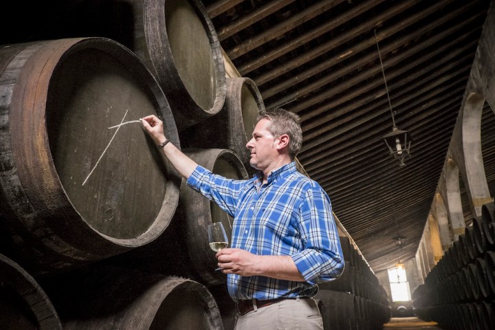 Cádiz Cathedrals of Wine Experience