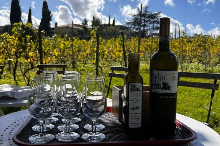 wine tasting in Rome italy