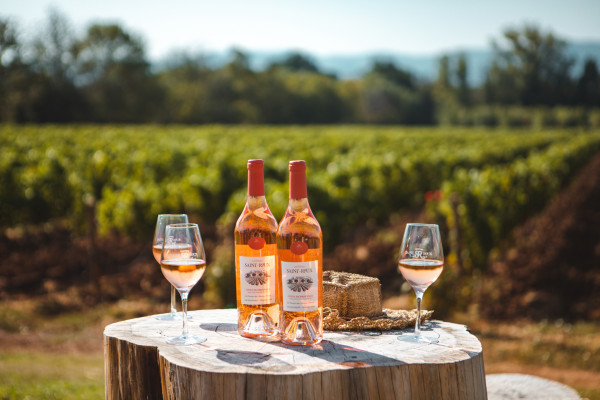 Provence Personalised Wine Tasting - Big Ticket Image 6530ef7f669de624702367 Cropped600 400
