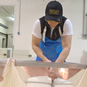 Parma Guided Dairy Tour & Tasting Experience