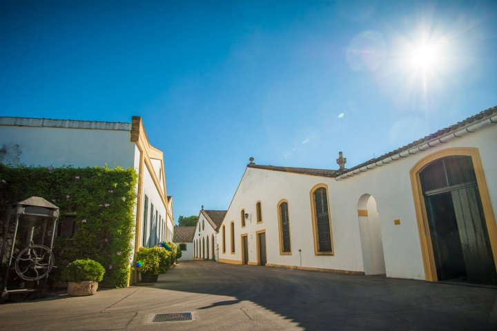 Cádiz Cathedrals of Wine Experience