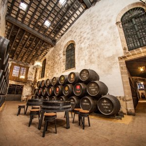 Cádiz Cathedrals of Wine Experience