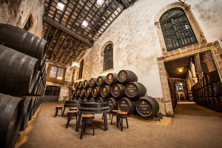 Cádiz Cathedrals of Wine Experience