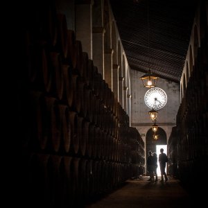 Cádiz Cathedrals of Wine Experience