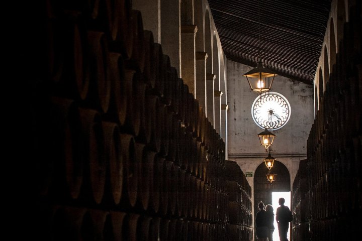 Cádiz Cathedrals of Wine Experience