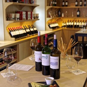 Bordeaux Visit & Tasting Experience