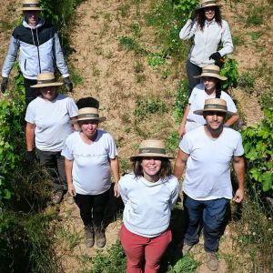 Provence Vineyards & Tasting Experience