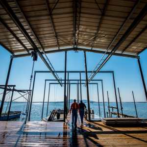 Montpellier Oysters Experience