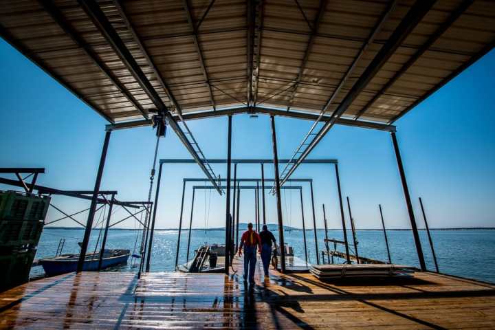 Montpellier Oysters Experience