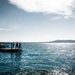 Montpellier Oysters Experience