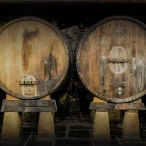 San Sebastian Cider & Meal Experience