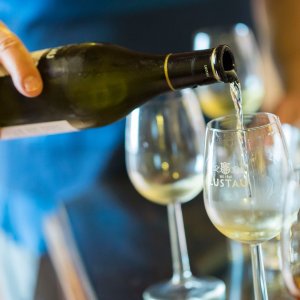 Cádiz Cathedrals of Wine Experience