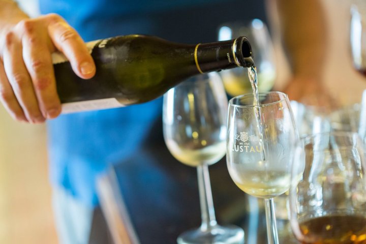 Cádiz Cathedrals of Wine Experience