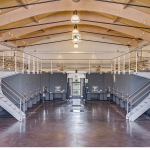 Bordeaux Visit & Tasting Experience